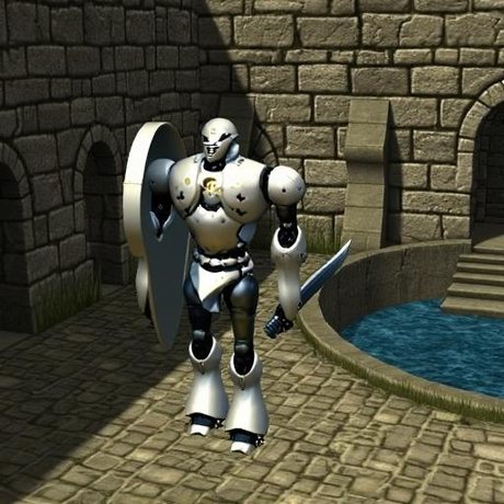 A sword-and-shield robot: reference view